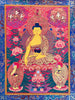 Shakyamuni Buddha Thangka Painting 76*56 - The Thangka